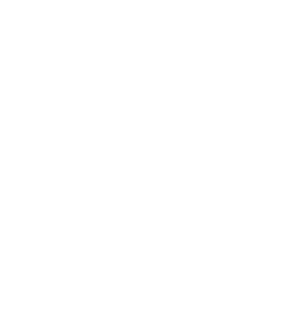 Logo della Direzione generale Archivi, testo colore bianco
